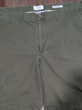 Linden Olive Green Cotton Shorts 36